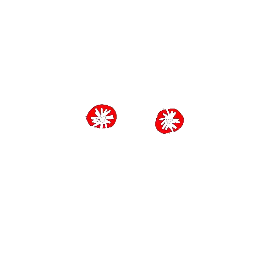 inscription 00000107dac82d0132784acaa4f38496eedd20b23c1a568800dbb0f30b374590i20