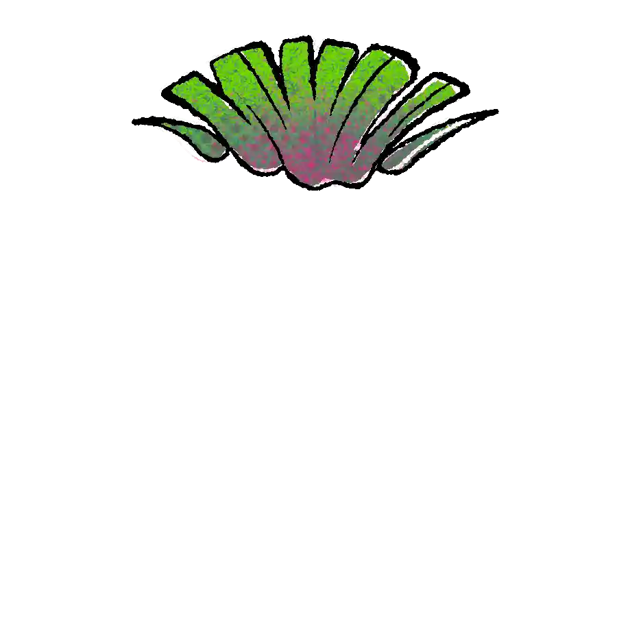 inscription 00000a33d479f54b8e268427b8862e5324640e3166e237a42943096a4d6023bbi19