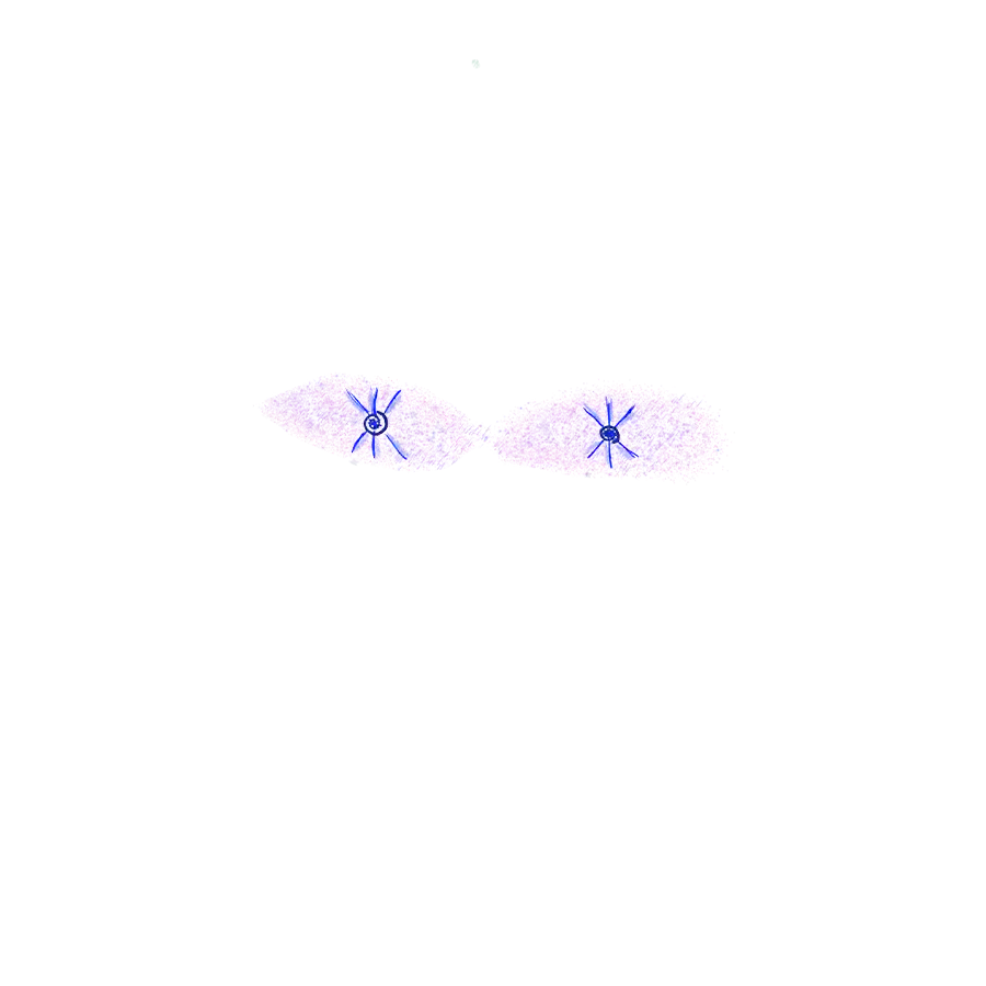 inscription 00000bdf925130adb016aa8158dfa0deb7a4040e859a9657609acb7edfbc6475i22