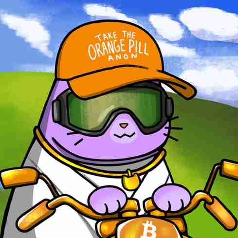 inscription 068b4d85c68e8f3509a3121f52f126d37e9e6a60cc8c782599ed01ae3e47d7c7i6