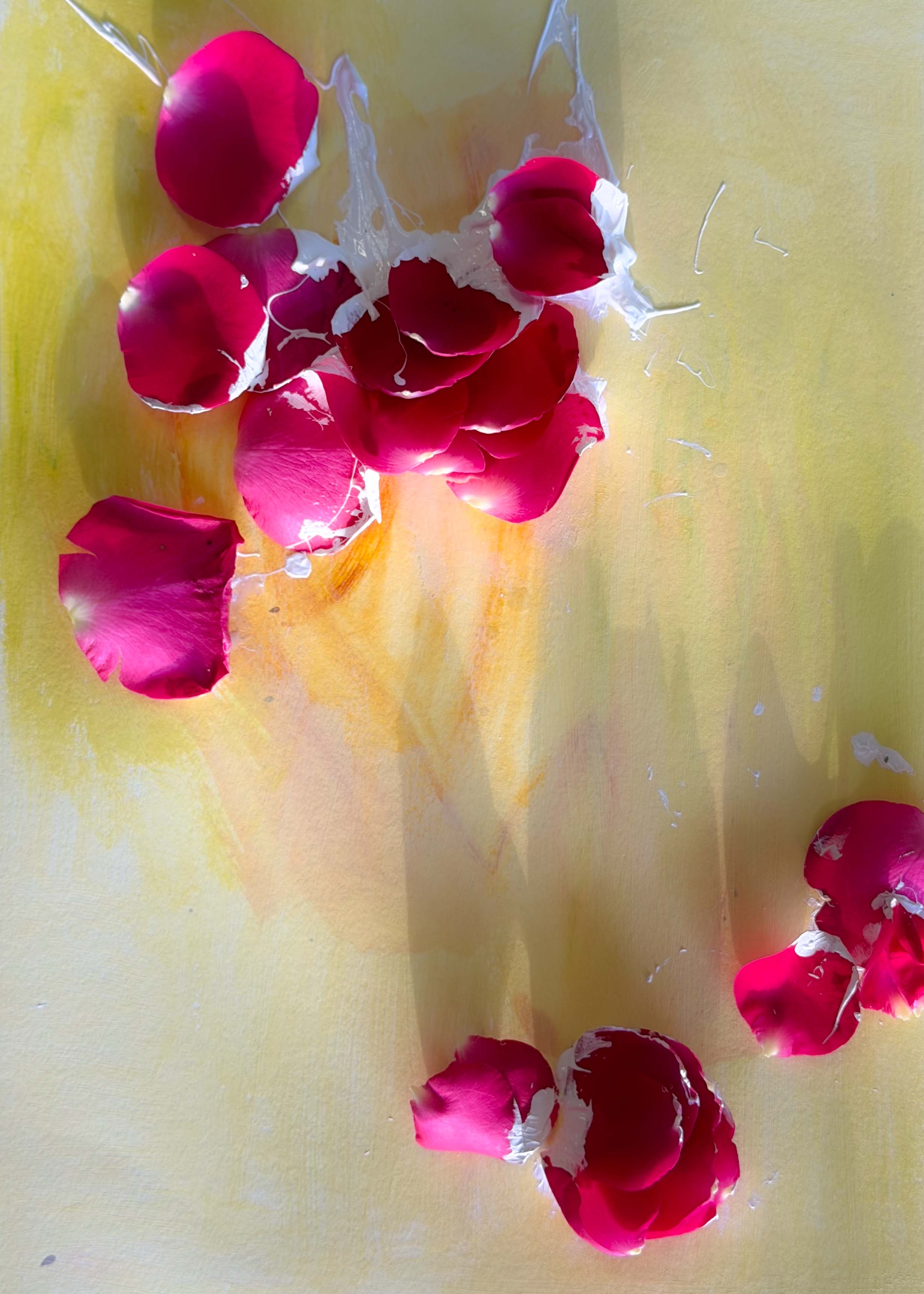 inscription 0b376d93f25f484b2497d6b4d42751a836132901b68444376e7e014d14658629i0