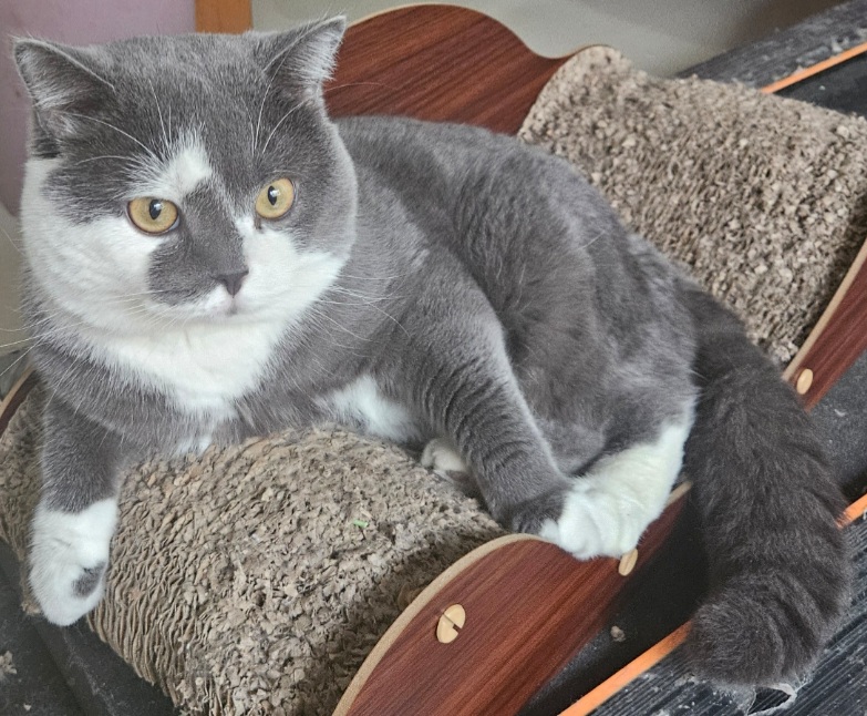 inscription 0cce138ffff0734da726e39482d15e3e813b75ef943961ef2f07fc5e9896e170i0