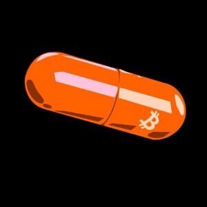 inscription 11d4c883670170aa71124f1d2060e535b9a4b616e85dc055f6dd6e453ece36d5i0