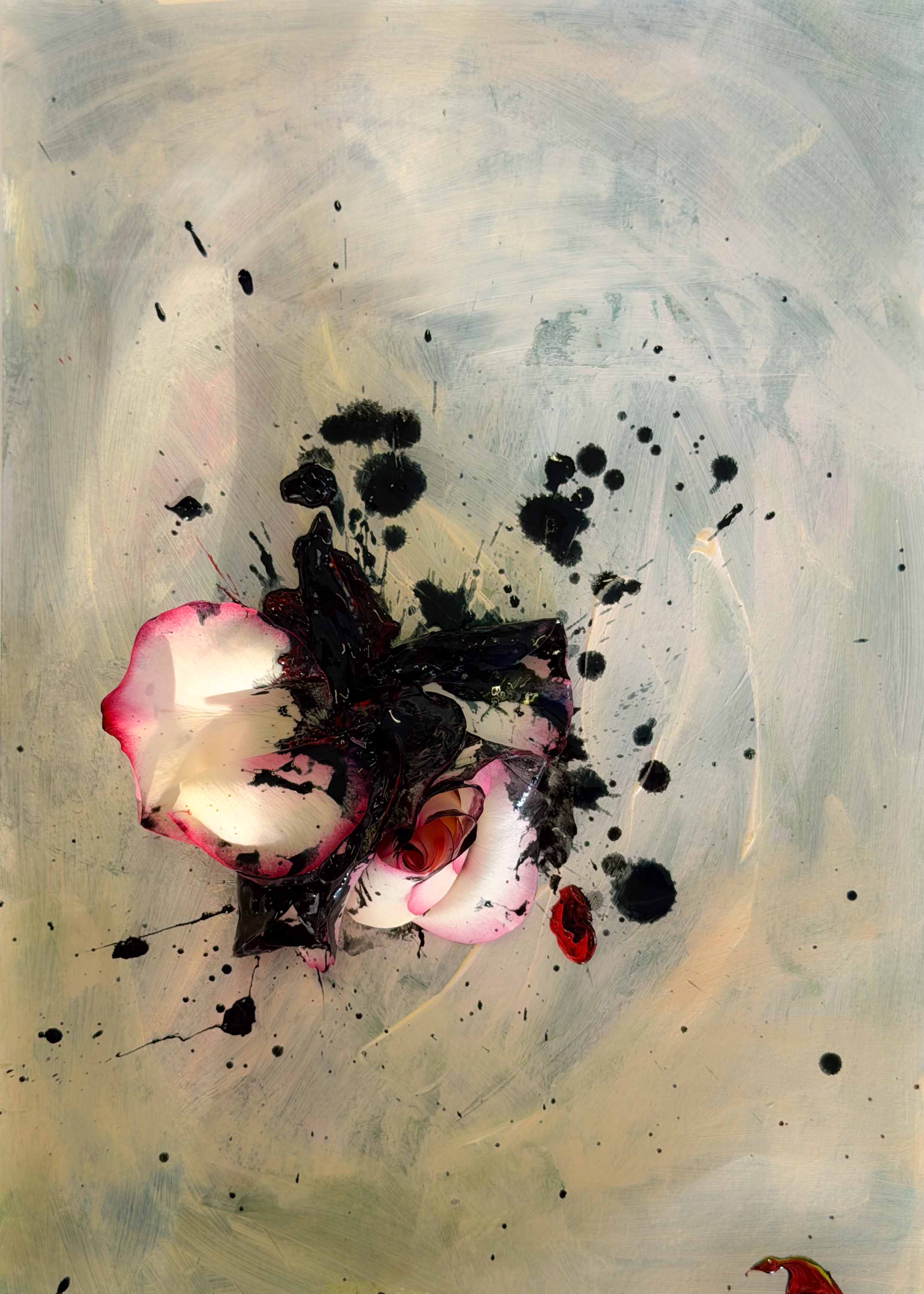 inscription 1b6d34c3acf9e32788aa2a3e150b806a7e9898976fecf54fe26ebb6b22a8a1f1i0