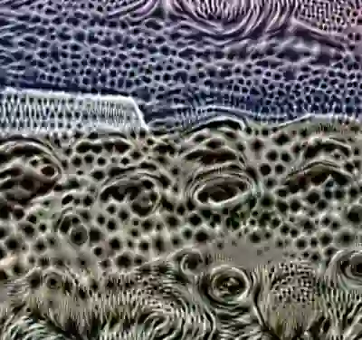 inscription 1f88e2877bbd97e7301cf68a34e8e6560e9b8aa557238d7e6b8eb628cf317f3di5