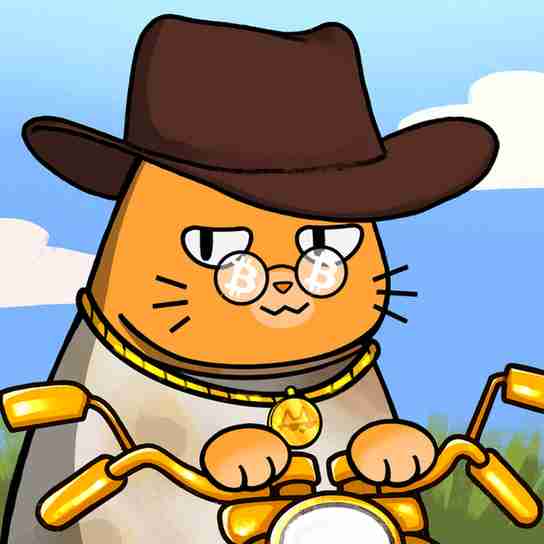 inscription 2076f02b1acb0933ee6784c4919d6b716f099b4be2f64956c9efc9b5bab9eab7i13