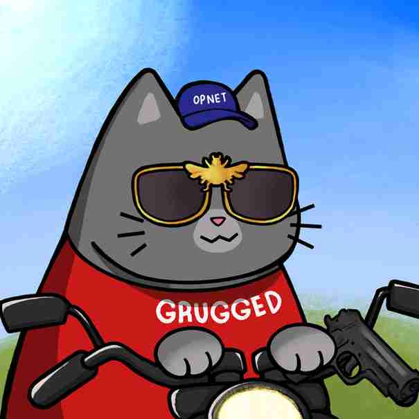 inscription 20ea167a5ba2754d619f598e8f6e1bd6bfbf95cd06d410d51e30dd8996d14c57i11