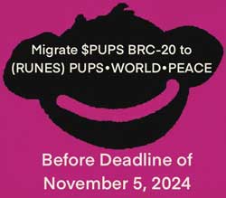 inscription 23b110d0cf8c188bf593dccdc5d736737f6e00fc7b034e7d5cb006e794187024i642