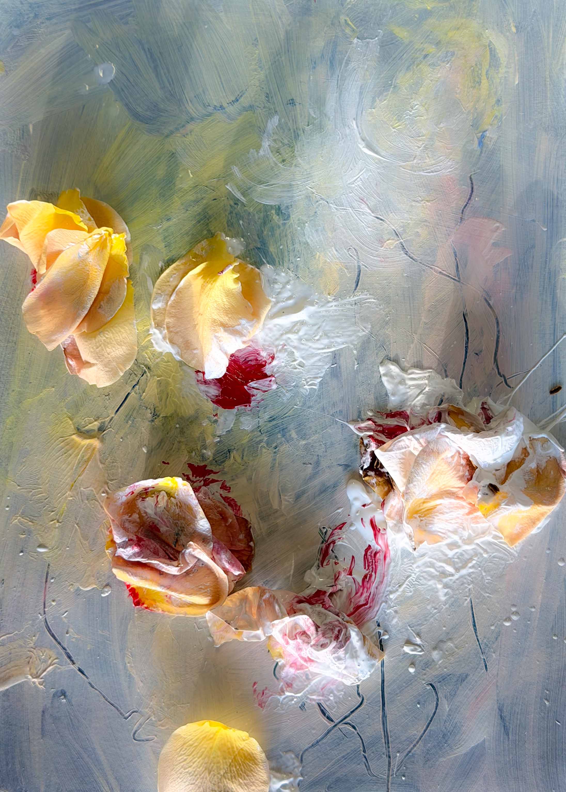 inscription 34decf3b77c49536a79892a9c51ca7ed788bcf17a20edb8b2ed44c65368cc69ei0