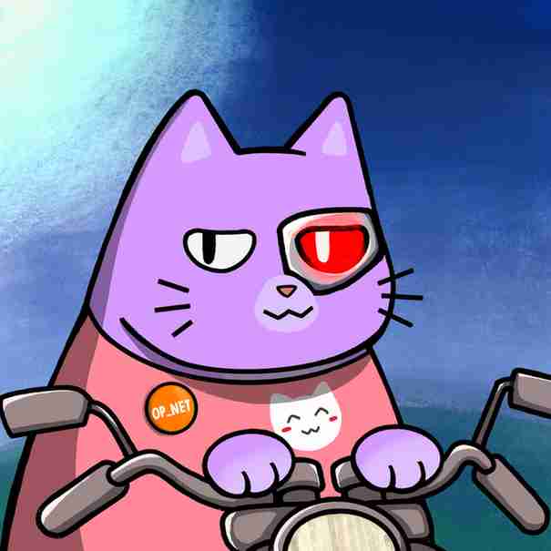 inscription 47d49eec195b8af14ea3cae7aae19e18b77bec9fa21d83f62d96e2a9ce64a596i13