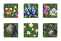 inscription 4bbbc2e4ddeb215b64d55bc5b2d49f86dfcea243193bf0dae85649cc7d431d02i0