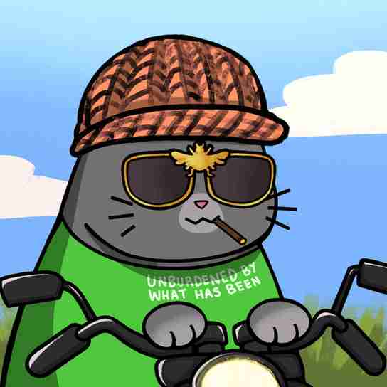 inscription 51786508f1ec3cca6d5a95d7993d538dd13a0c5b32248f970f184f1cc08f599di13