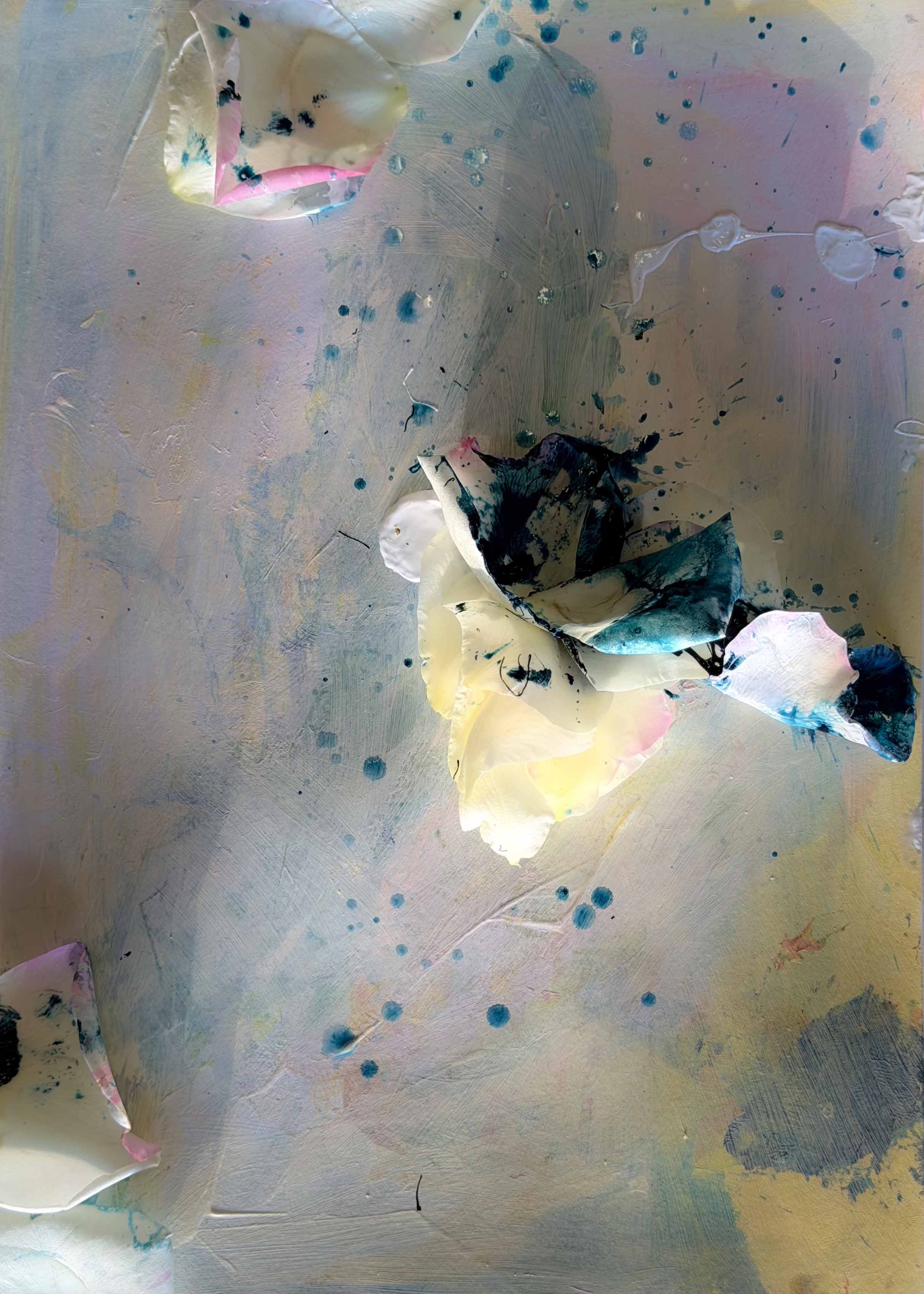 inscription 589ee63a3b77cb17177ab6191e96c85881ee32c75ce30cb4c3ab397480389c3ai0