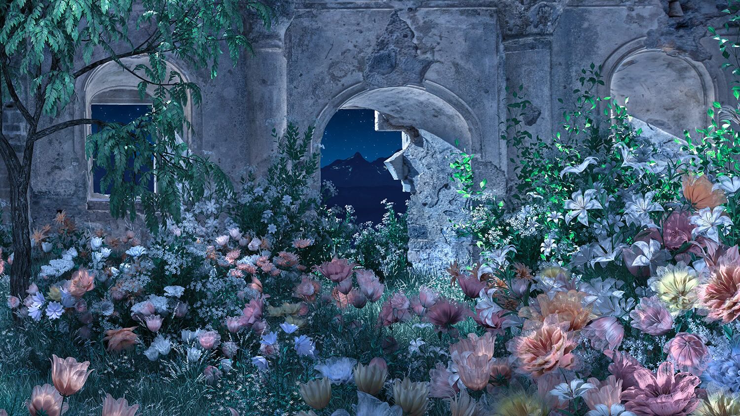 inscription 6a62b23c61095f25fd3909a4e008b3c90249b5142970225ec0209beb8d126ccei0