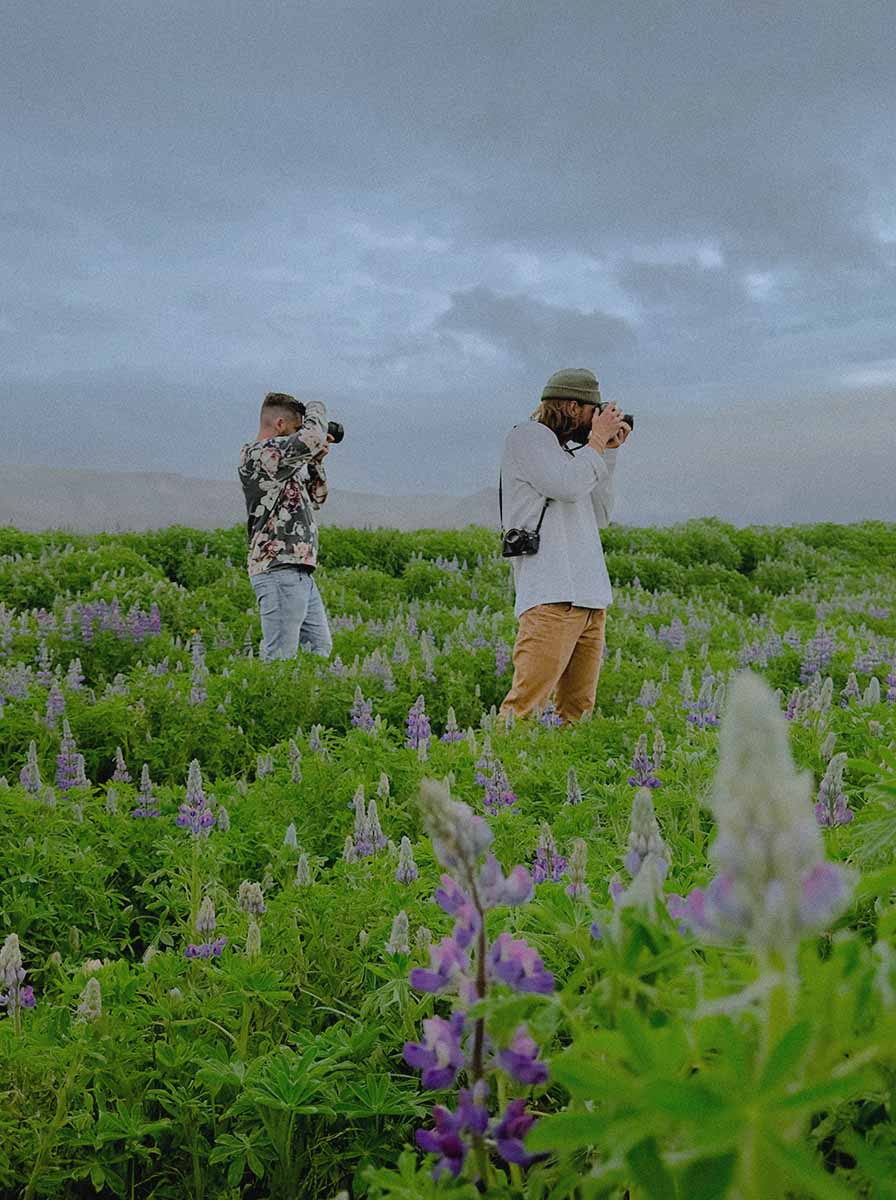 inscription 87dc572170ff5645f7d6eb60f07526d491ee20eb929097ebca2526bae8c6a4e5i0