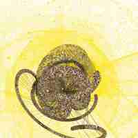 inscription a0125a831671570c7cb20d873d6a978340bd99ff69c70d7feb9ba1af7829d745i0