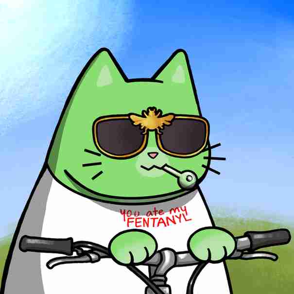 inscription a7b88a70c8b555611a4eba9a5c13faa17dc0306669bca9c5b71b598fac019dfbi1