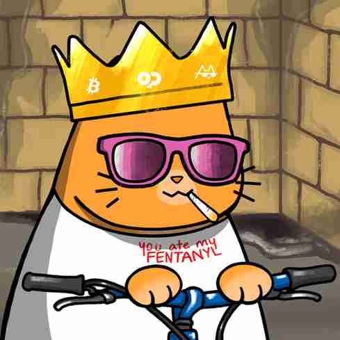 inscription a7b88a70c8b555611a4eba9a5c13faa17dc0306669bca9c5b71b598fac019dfbi12