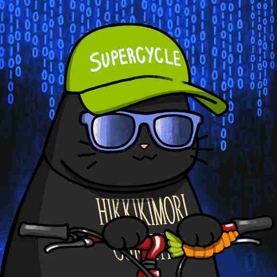 inscription ac6c11ae6f5929bcc3d79271e85f115f2733d8d86f1a2e31f5404aff209f601ci10