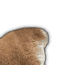 inscription be0d08c34ec5c8404caba54a577d4d4cf12dc43911c580a6fe7d2204e784c0f0i30