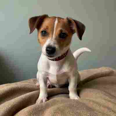 inscription cba0d9f65899b474ded5ebd8c50e0721ad47b0c340faa8d6d189fb4cbe1574e7i0