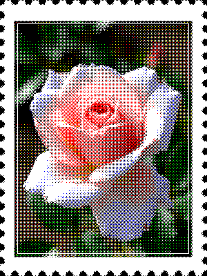 inscription e6123c362e94ba13450db12a10988005d07ea0522b31180bacbfbb1732c6b3a1i0